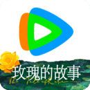 公主难嫁作者云枳